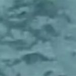 ARCTIC ICE