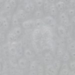 BRIGHT WHITE XPS 7103