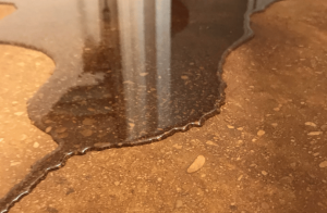 Hybrid Flooring in Progress