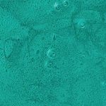 IRIDESCENT GREEN XPS 6058