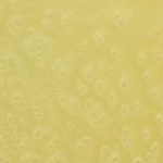 LEMON YELLOW XPS 6013