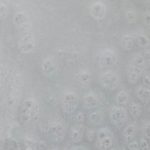 LUSTER WHITE XPS 7104