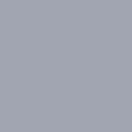 PALE GREY #306