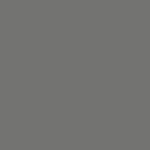 STEEL GREY #365